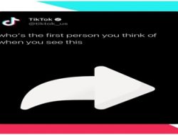 Cara Penggunaan dan Fitur Lain dari Aplikasi Download Video Tiktok Tersembunyi