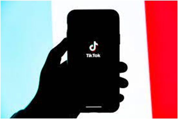 Mudah Download Aplikasi Untuk Download Video Tiktok